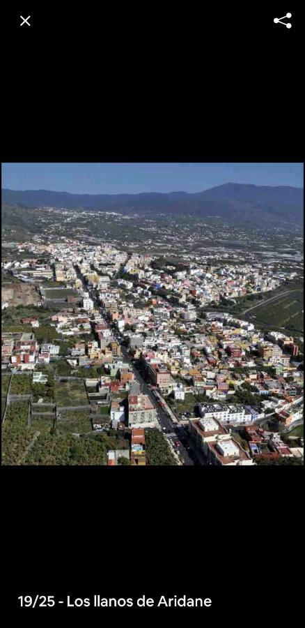Villa La Ponderosa لوس يانوس دي أريداني المظهر الخارجي الصورة